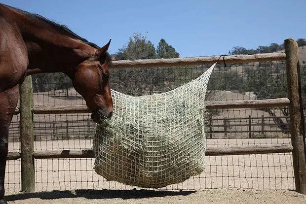 Freedom Feeder 6-Flake Extended Day Hay Net